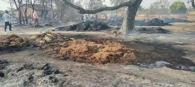 रीवा में भीषण आगजनी का कहर : आग की भारी तबाही से 16 किसानों की फसल जलकर खाक 