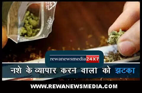 MP LIVE : विंध्य में नशे की ओर बढ़ रही युवा पीढ़ी, हर जिले में गांजा कफ सीरप की पैकारी से केंद्र में मचा हड़कंप