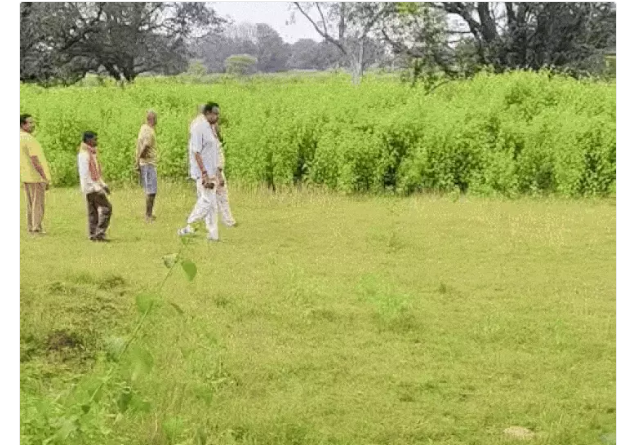 dfff