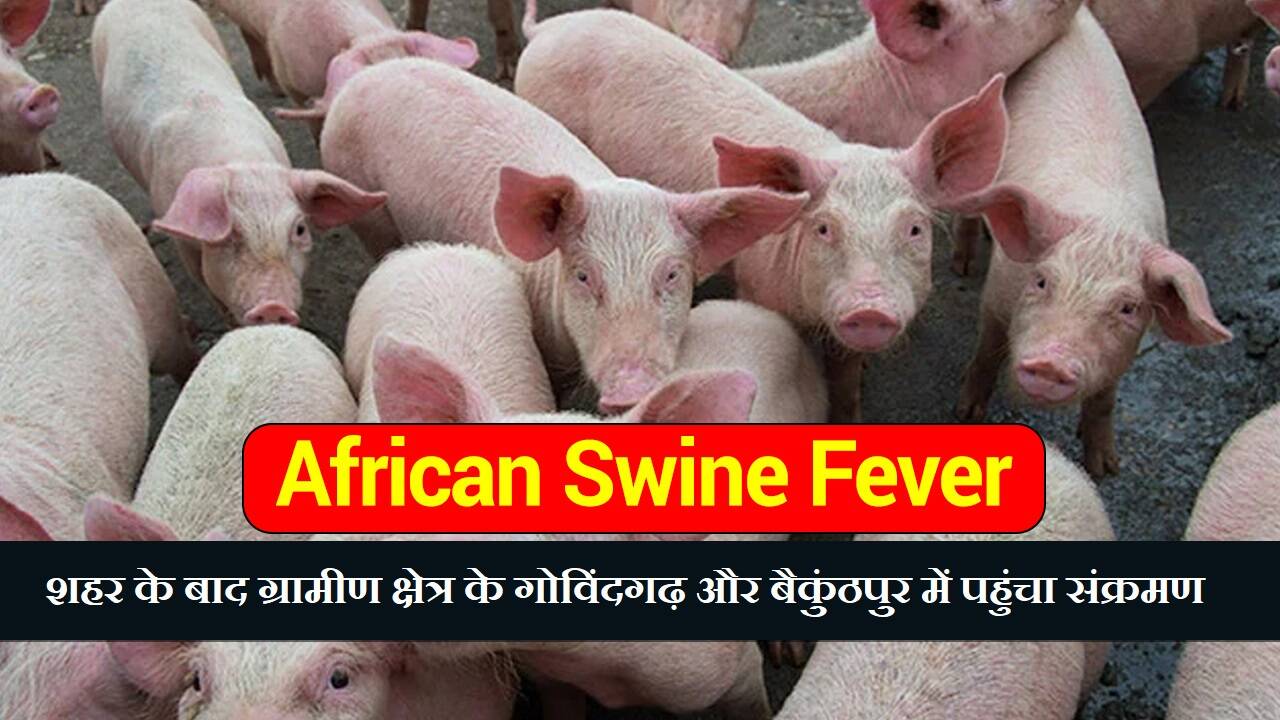 शहर के बाद ग्रामीण क्षेत्र के गोविंदगढ़ और बैकुंठपुर में पहुंचा संक्रमण