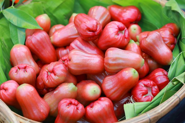 Water Apple