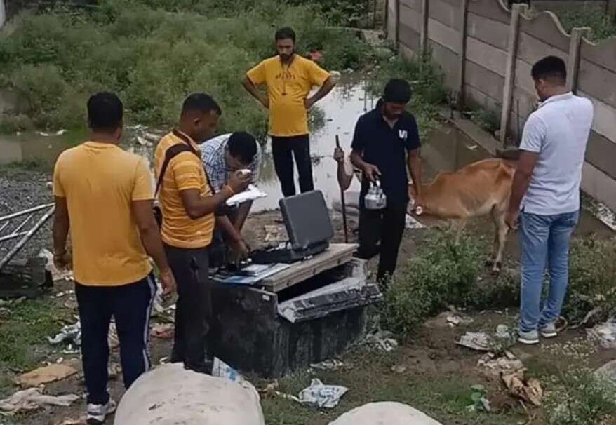 dsvv