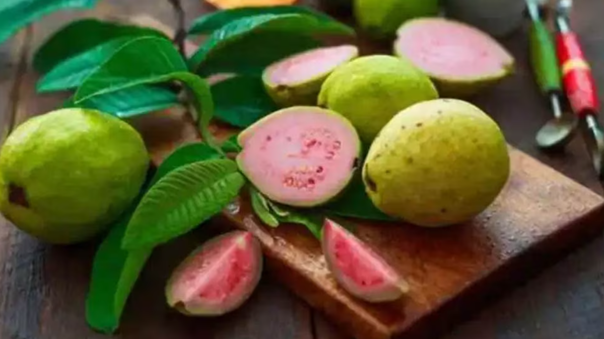 Guava
