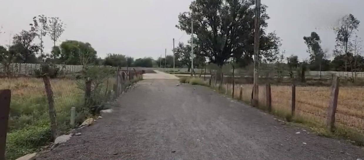 DFDF